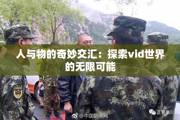 人与物的奇妙交汇：探索vid世界的无限可能