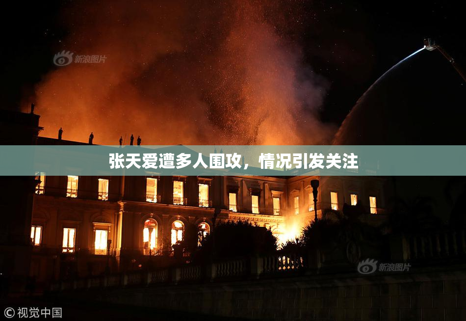 张天爱遭多人围攻，情况引发关注
