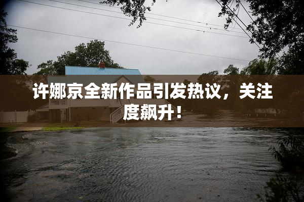 许娜京全新作品引发热议，关注度飙升！