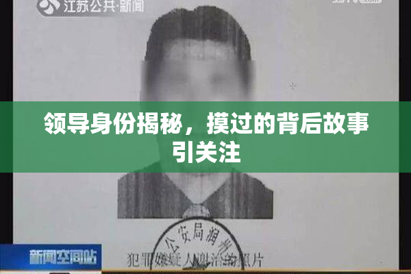 领导身份揭秘，摸过的背后故事引关注