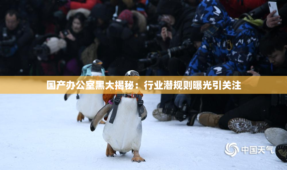 国产办公室黑大揭秘：行业潜规则曝光引关注