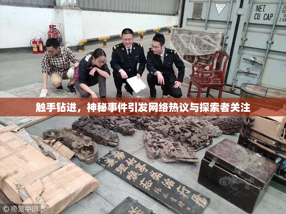 触手钻进，神秘事件引发网络热议与探索者关注
