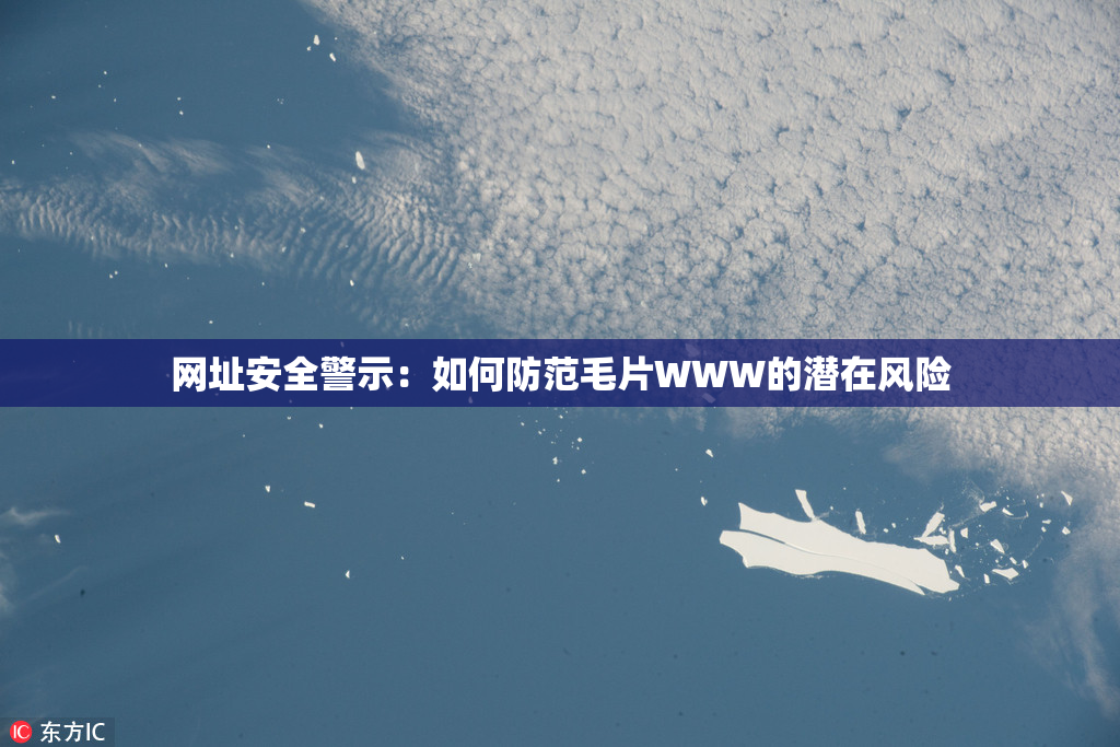 网址安全警示：如何防范毛片WWW的潜在风险