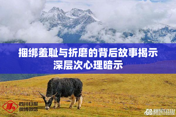 捆绑羞耻与折磨的背后故事揭示深层次心理暗示