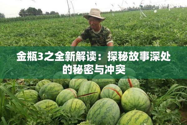 金瓶3之全新解读：探秘故事深处的秘密与冲突