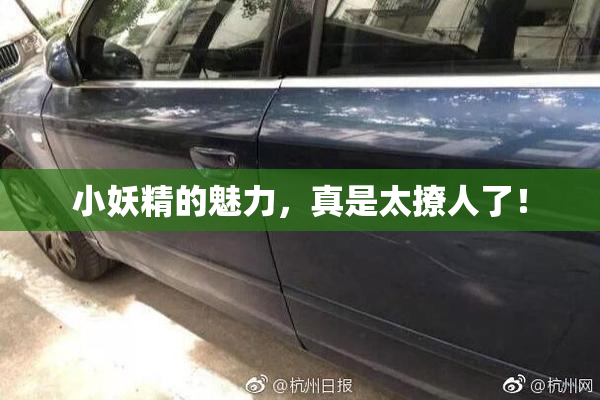 小妖精的魅力，真是太撩人了！