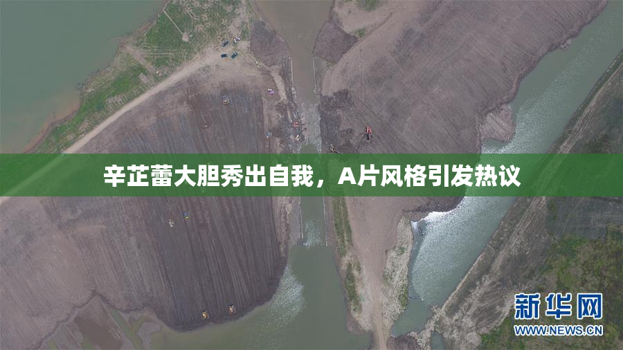 辛芷蕾大胆秀出自我，A片风格引发热议