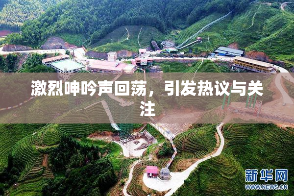 激烈呻吟声回荡，引发热议与关注