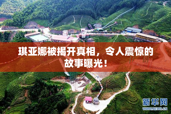 琪亚娜被揭开真相，令人震惊的故事曝光！