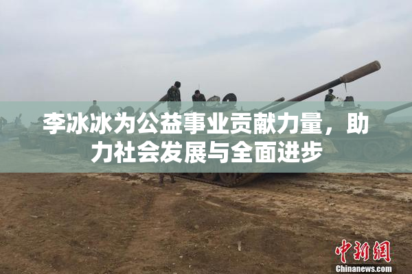 李冰冰为公益事业贡献力量，助力社会发展与全面进步