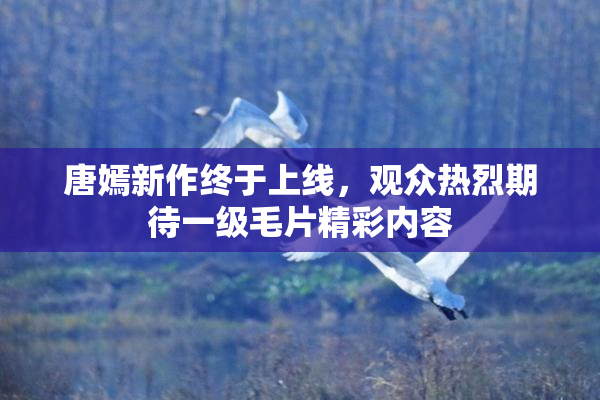 唐嫣新作终于上线，观众热烈期待一级毛片精彩内容