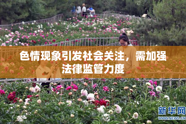 色情现象引发社会关注，需加强法律监管力度