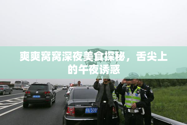 爽爽窝窝深夜美食探秘，舌尖上的午夜诱惑