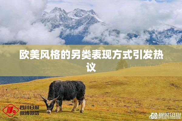 欧美风格的另类表现方式引发热议
