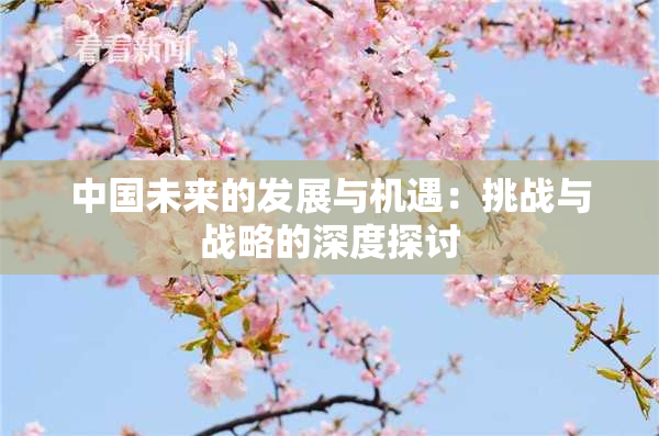 中国未来的发展与机遇：挑战与战略的深度探讨