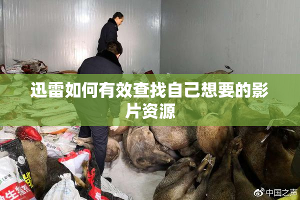 迅雷如何有效查找自己想要的影片资源