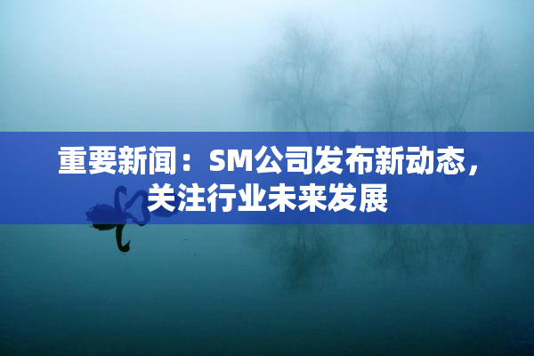 重要新闻：SM公司发布新动态，关注行业未来发展