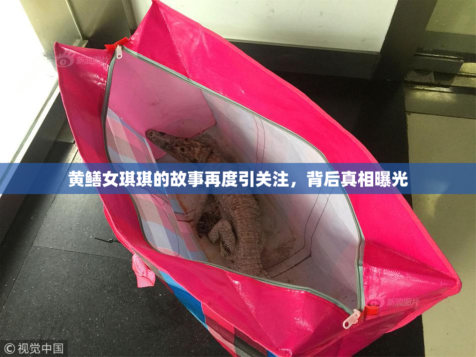 黄鳝女琪琪的故事再度引关注，背后真相曝光