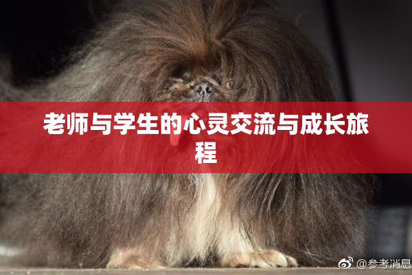 老师与学生的心灵交流与成长旅程