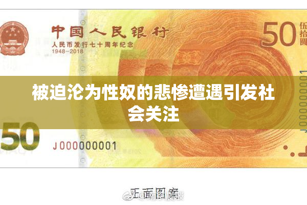 被迫沦为性奴的悲惨遭遇引发社会关注