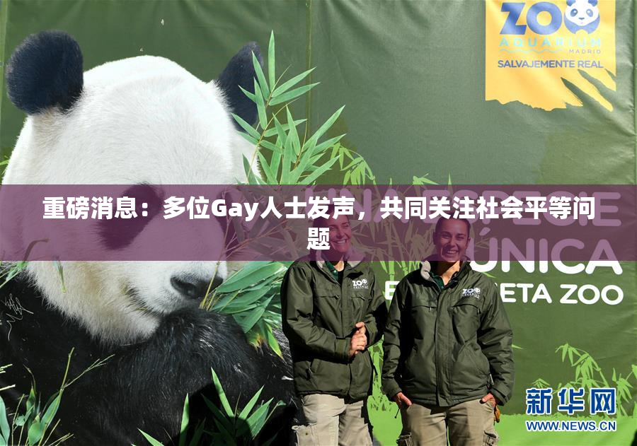 重磅消息：多位Gay人士发声，共同关注社会平等问题