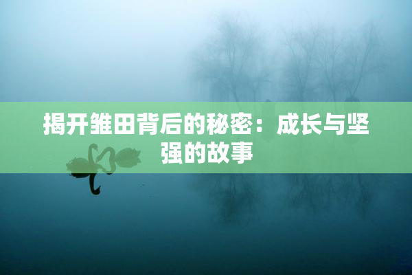 揭开雏田背后的秘密：成长与坚强的故事