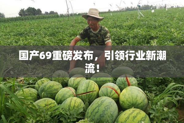 国产69重磅发布，引领行业新潮流！