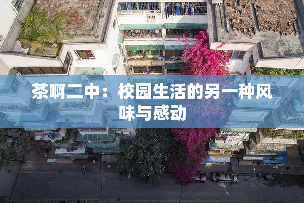 茶啊二中：校园生活的另一种风味与感动