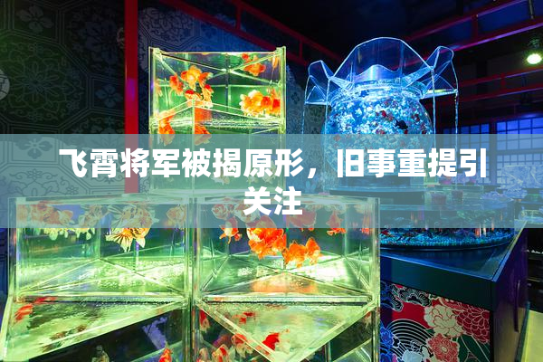 飞霄将军被揭原形，旧事重提引关注