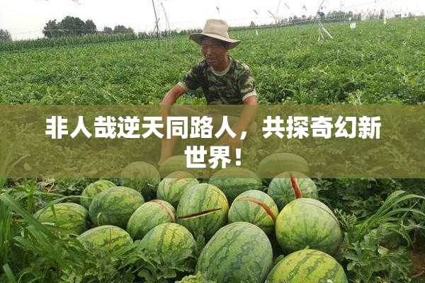 非人哉逆天同路人，共探奇幻新世界！