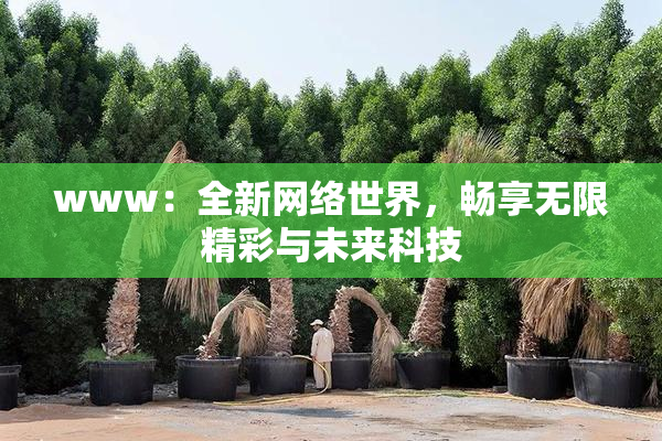 www：全新网络世界，畅享无限精彩与未来科技