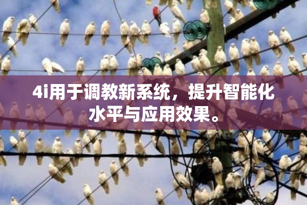 4i用于调教新系统，提升智能化水平与应用效果。