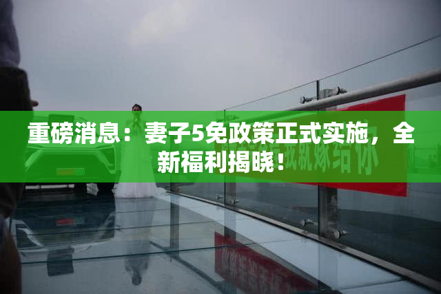 重磅消息：妻子5免政策正式实施，全新福利揭晓！