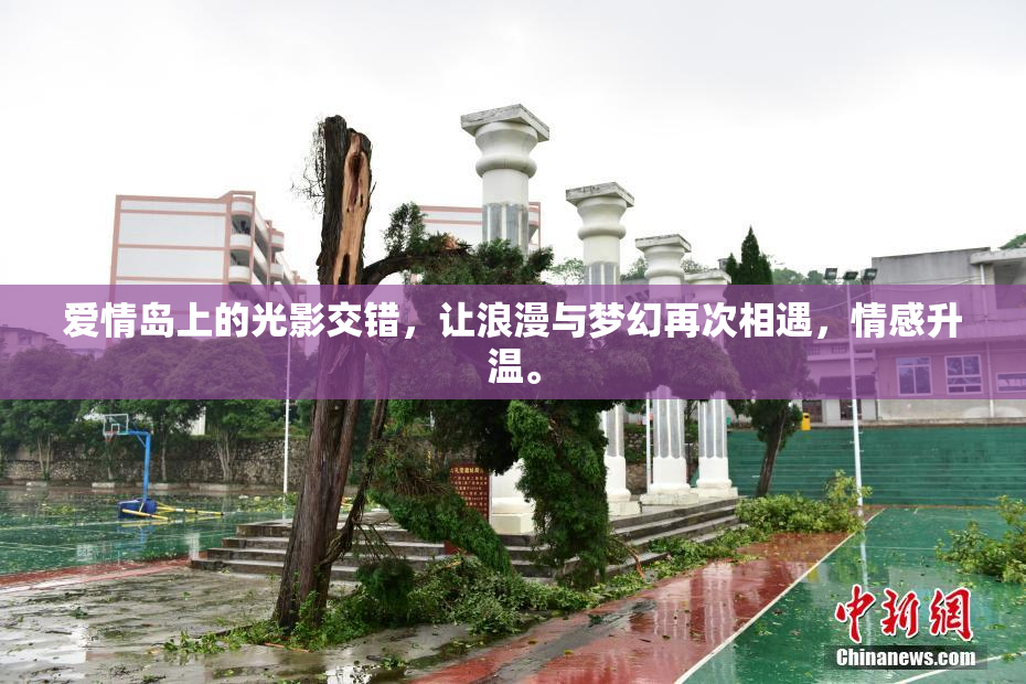 爱情岛上的光影交错，让浪漫与梦幻再次相遇，情感升温。