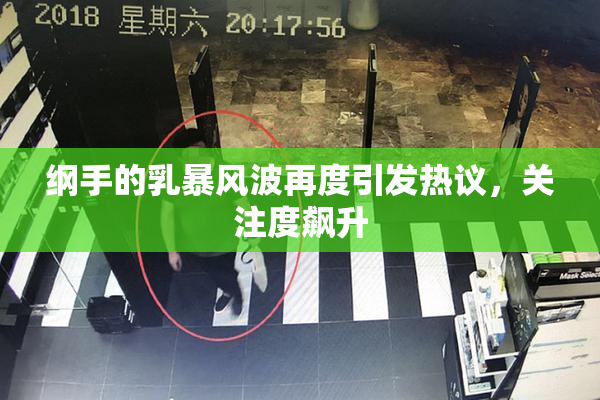纲手的乳暴风波再度引发热议，关注度飙升