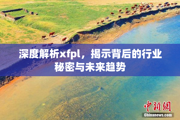 深度解析xfpl，揭示背后的行业秘密与未来趋势