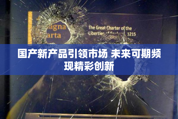 国产新产品引领市场 未来可期频现精彩创新