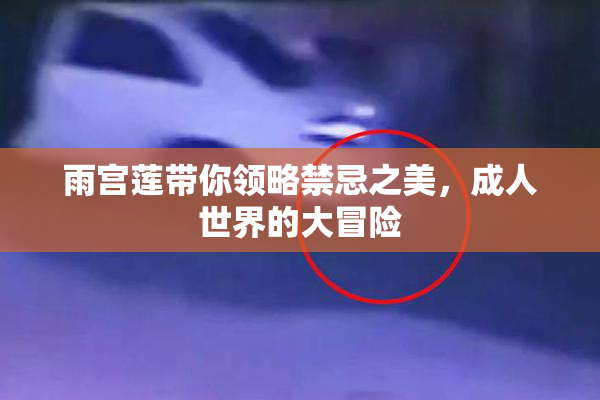 雨宫莲带你领略禁忌之美，成人世界的大冒险