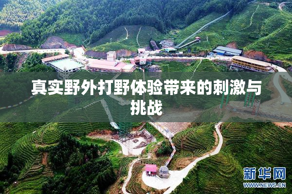 真实野外打野体验带来的刺激与挑战