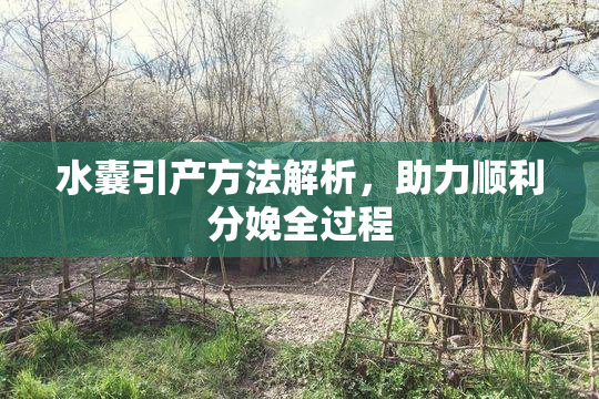 水囊引产方法解析，助力顺利分娩全过程