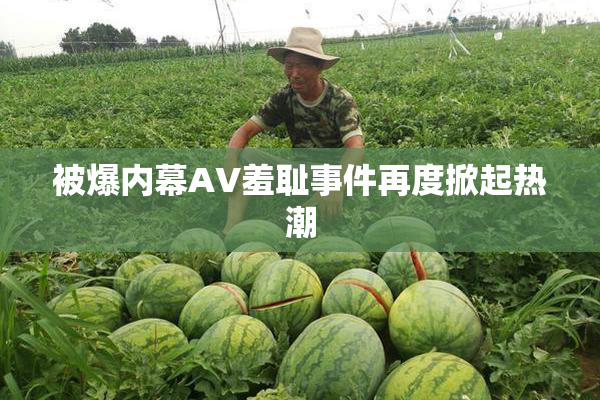 被爆内幕AV羞耻事件再度掀起热潮