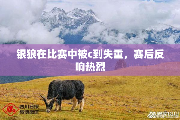 银狼在比赛中被c到失重，赛后反响热烈