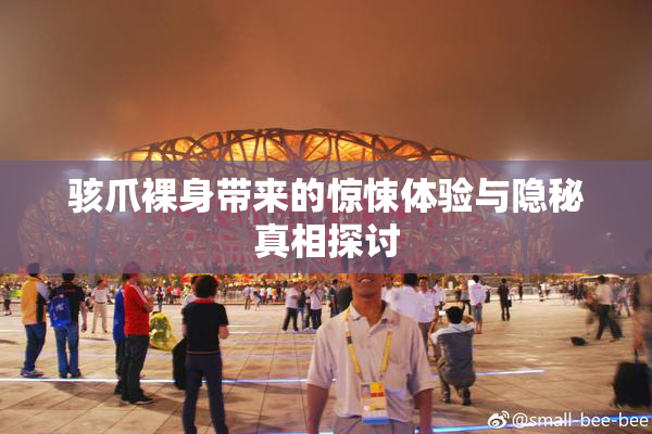 骇爪裸身带来的惊悚体验与隐秘真相探讨