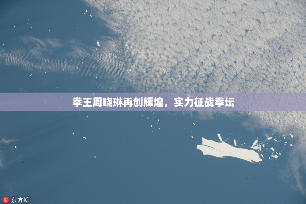 拳王周晓琳再创辉煌，实力征战拳坛