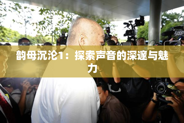 韵母沉沦1：探索声音的深邃与魅力