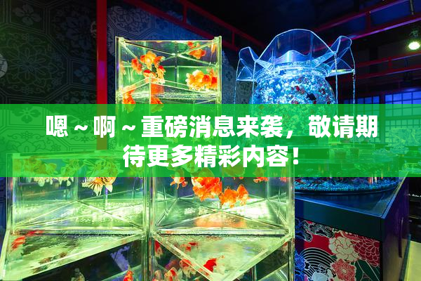 嗯～啊～重磅消息来袭，敬请期待更多精彩内容！