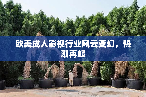 欧美成人影视行业风云变幻，热潮再起