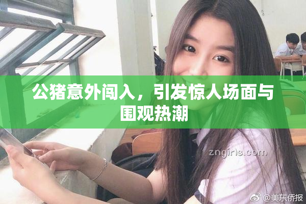 公猪意外闯入，引发惊人场面与围观热潮