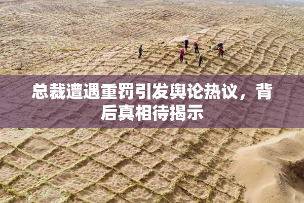 总裁遭遇重罚引发舆论热议，背后真相待揭示