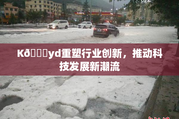 K🈚yd重塑行业创新，推动科技发展新潮流